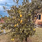 5 Terrethe Terrace On The Gulf - Parking / Wi-fi * Lavagna